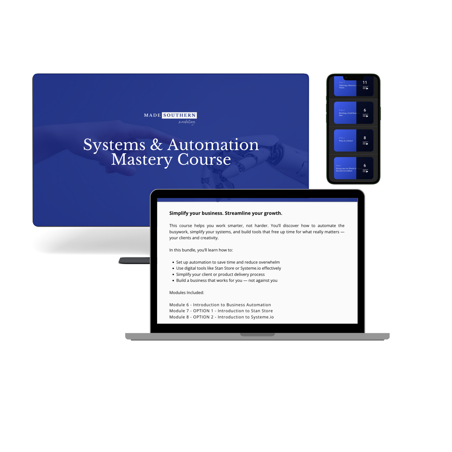 Systems & Automation Mastery Course